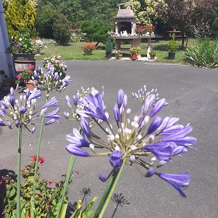 Beaulieu-sur-Sonnette Les Hirondelles Du Paradis 6 Rue Des Oiseaux Bed & Breakfast エクステリア 写真