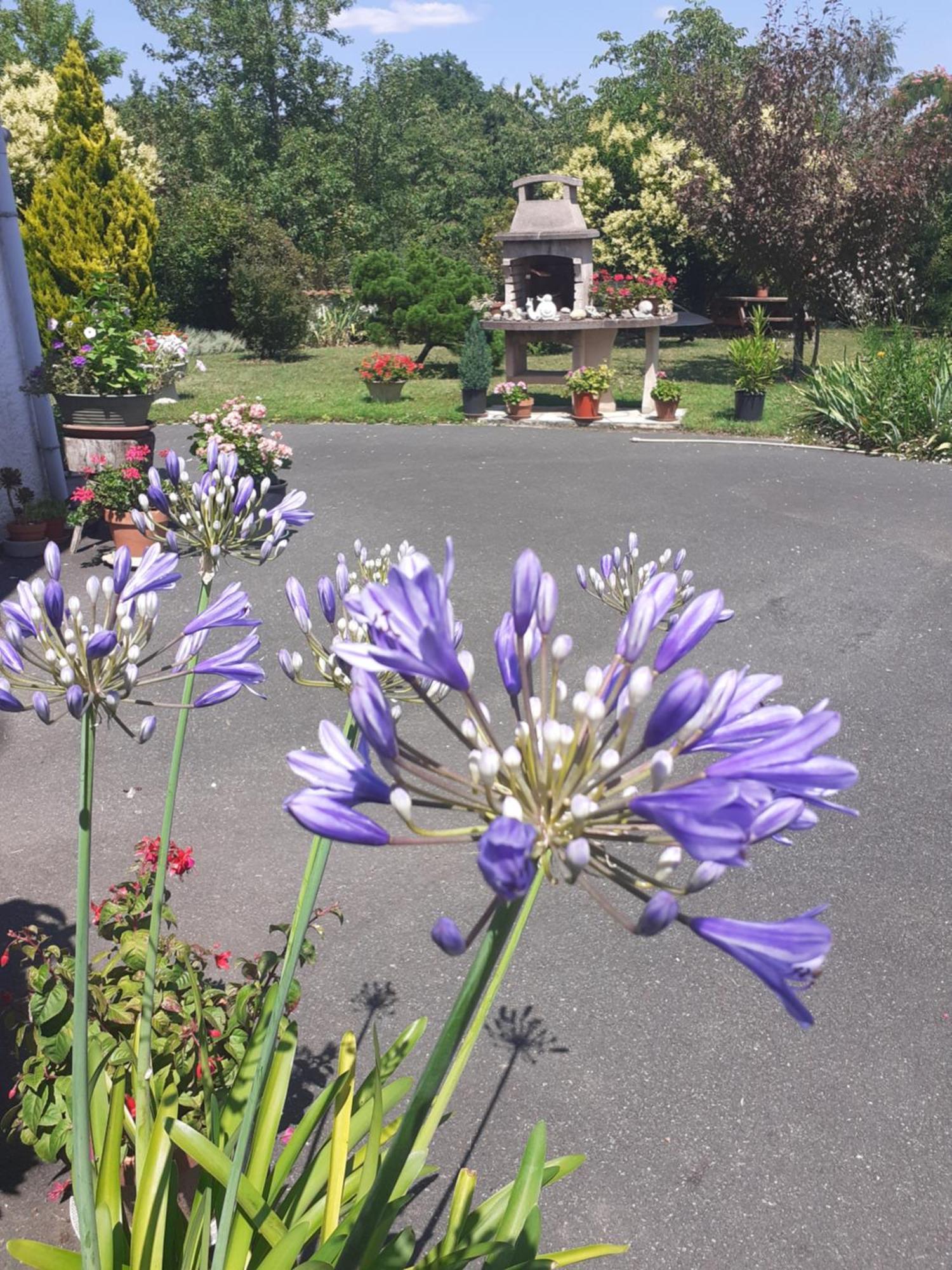 Beaulieu-sur-Sonnette Les Hirondelles Du Paradis 6 Rue Des Oiseaux Bed & Breakfast エクステリア 写真